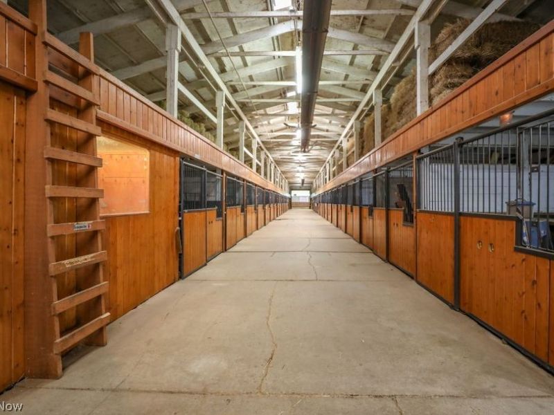 7821 Ferguson Road, Streetsboro, OH 44241 Photo 23