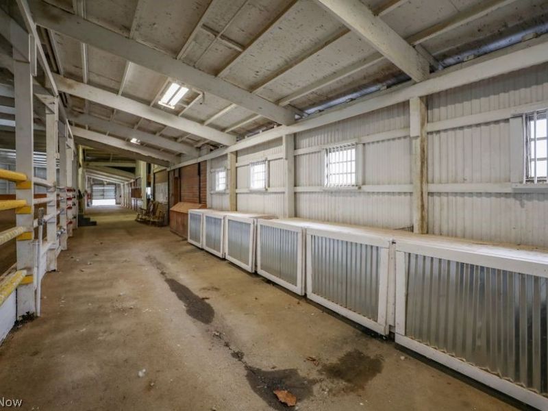 7821 Ferguson Road, Streetsboro, OH 44241 Photo 35