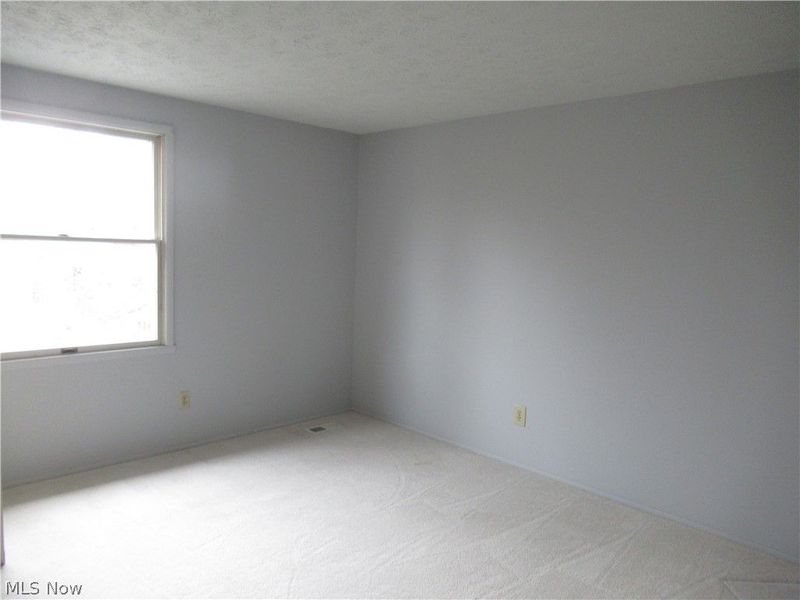 6919 Kirk Road, Canfield, OH 44406 Photo 19