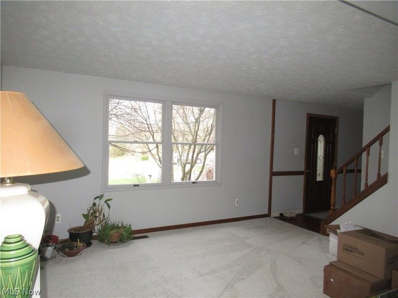 6919 Kirk Road, Canfield, OH 44406 Photo 4