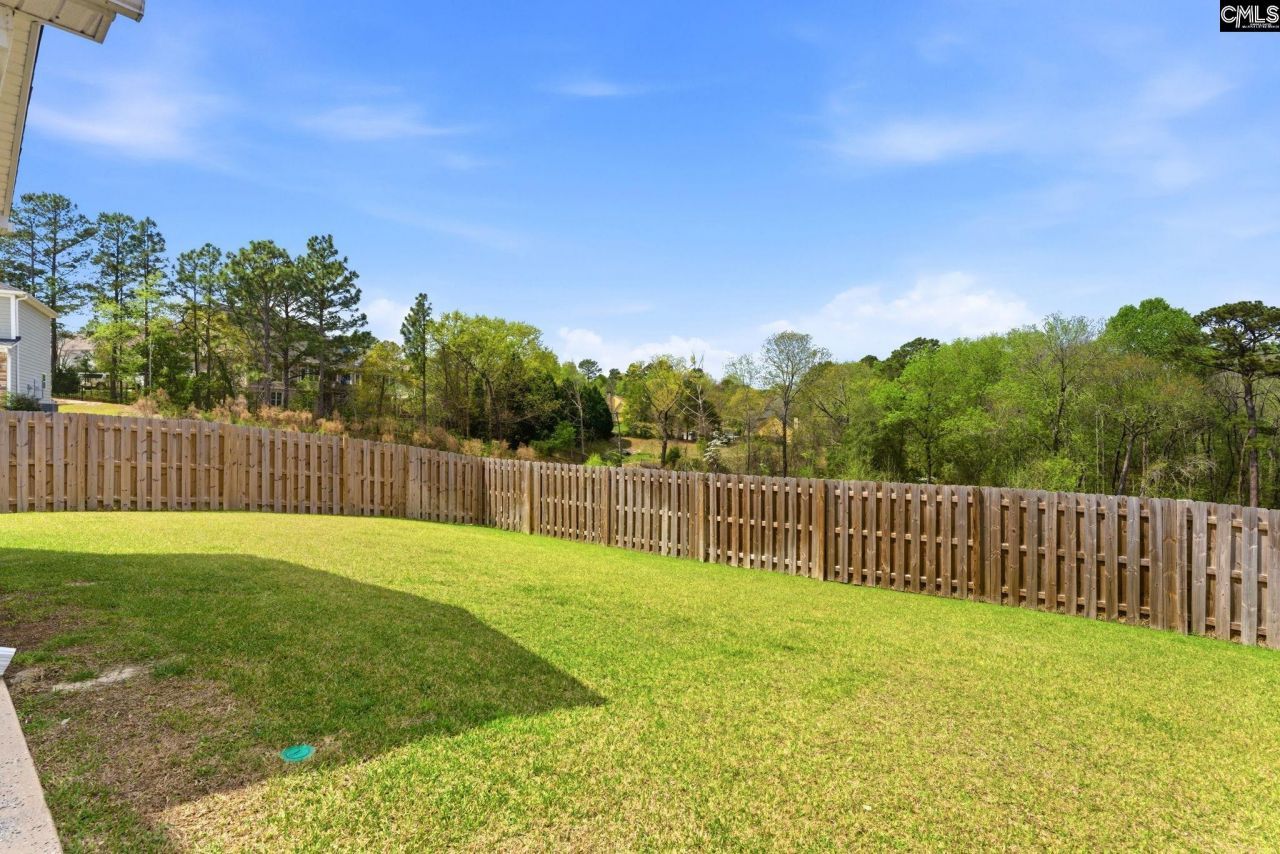 6012 Earnest Leen Drive Photo 68