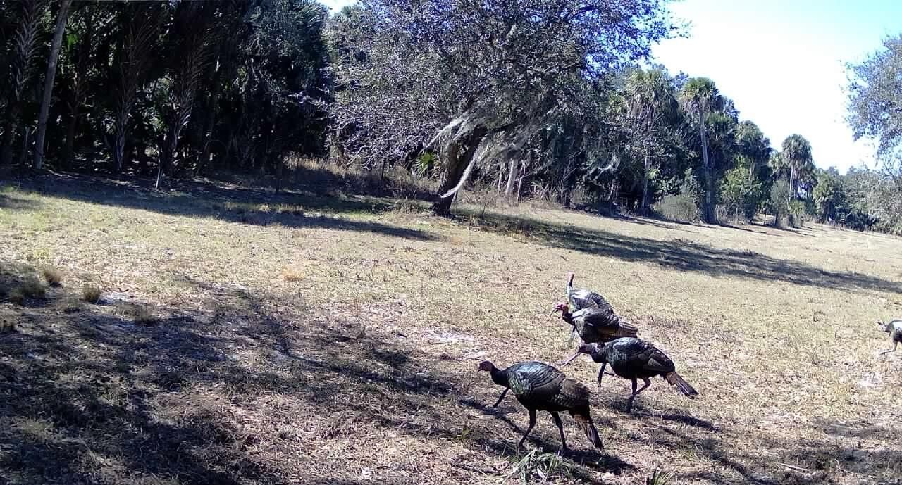 1002 Bankers Road, Lorida, FL 33857 Photo