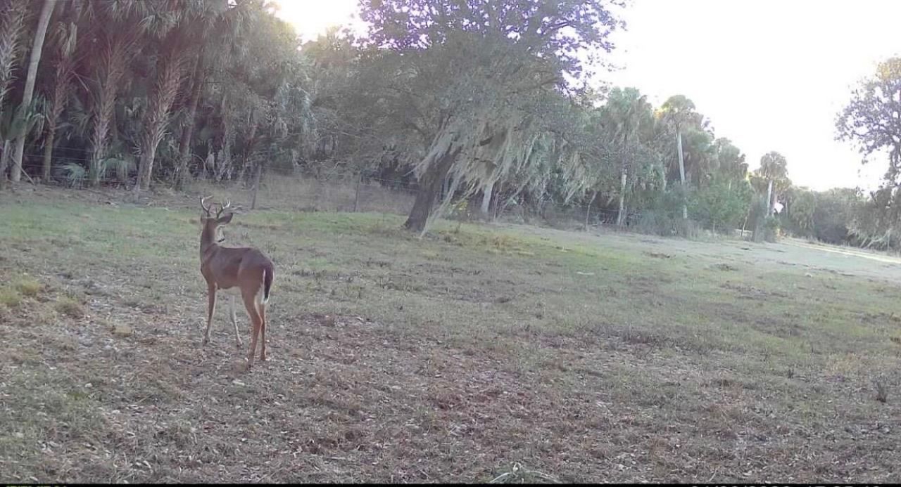 1002 Bankers Road, Lorida, FL 33857 Photo