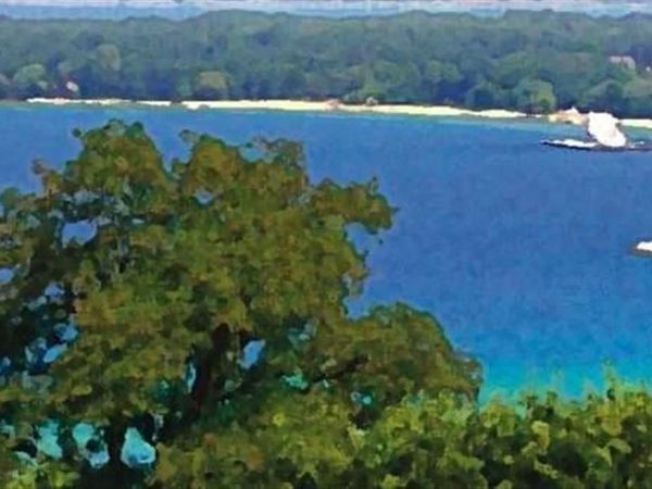 865 Wind Drift Drive, Traverse City, MI 49684