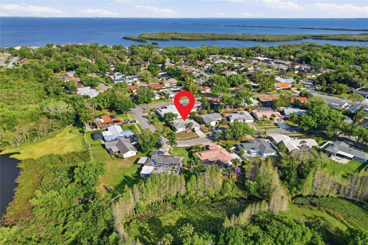 1301 Alameda Avenue , Clearwater, FL 33759 Photo