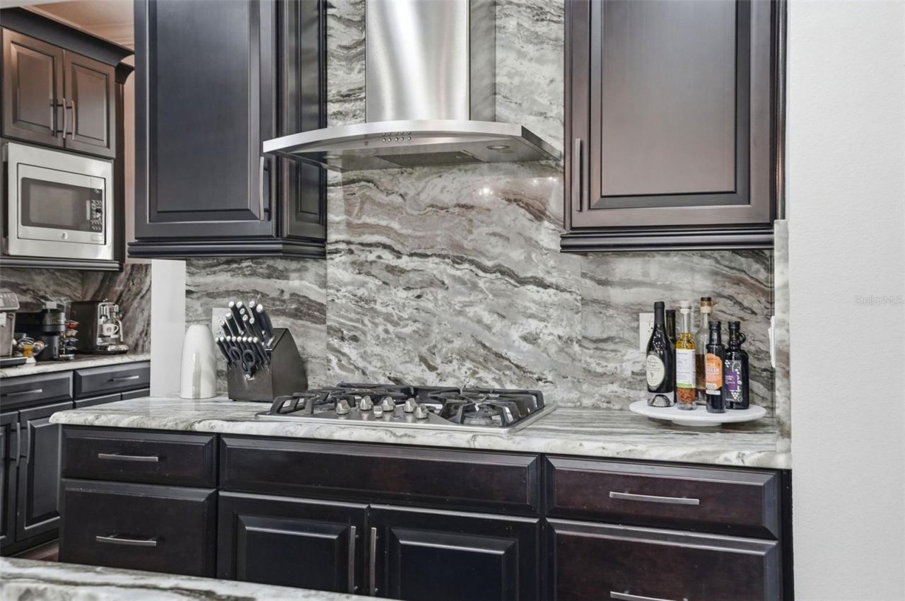 1897 Fox Grape Loop , Lutz, FL 33558 Photo