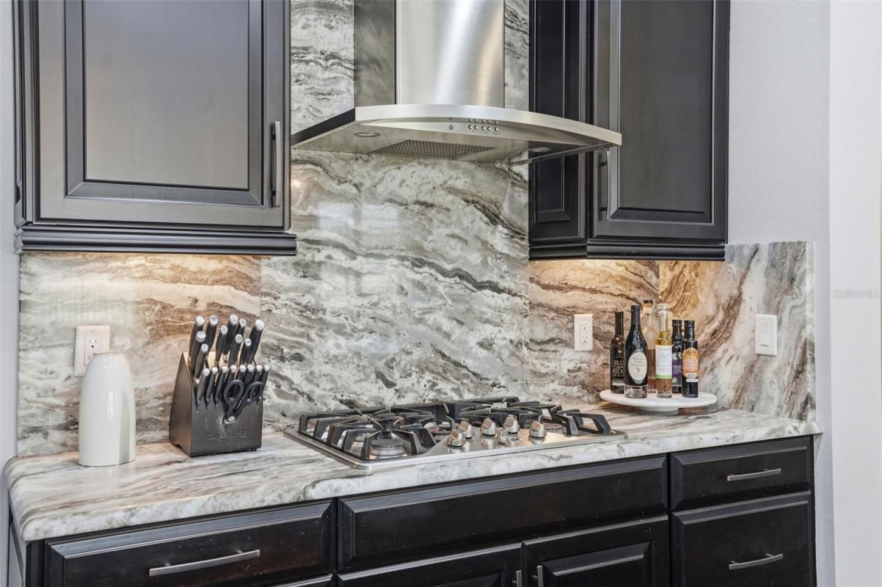 1897 Fox Grape Loop , Lutz, FL 33558 Photo