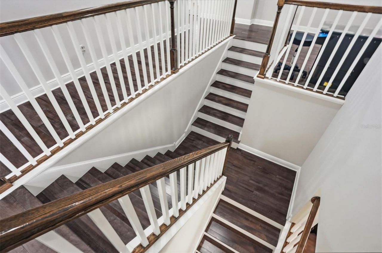 1897 Fox Grape Loop , Lutz, FL 33558 Photo