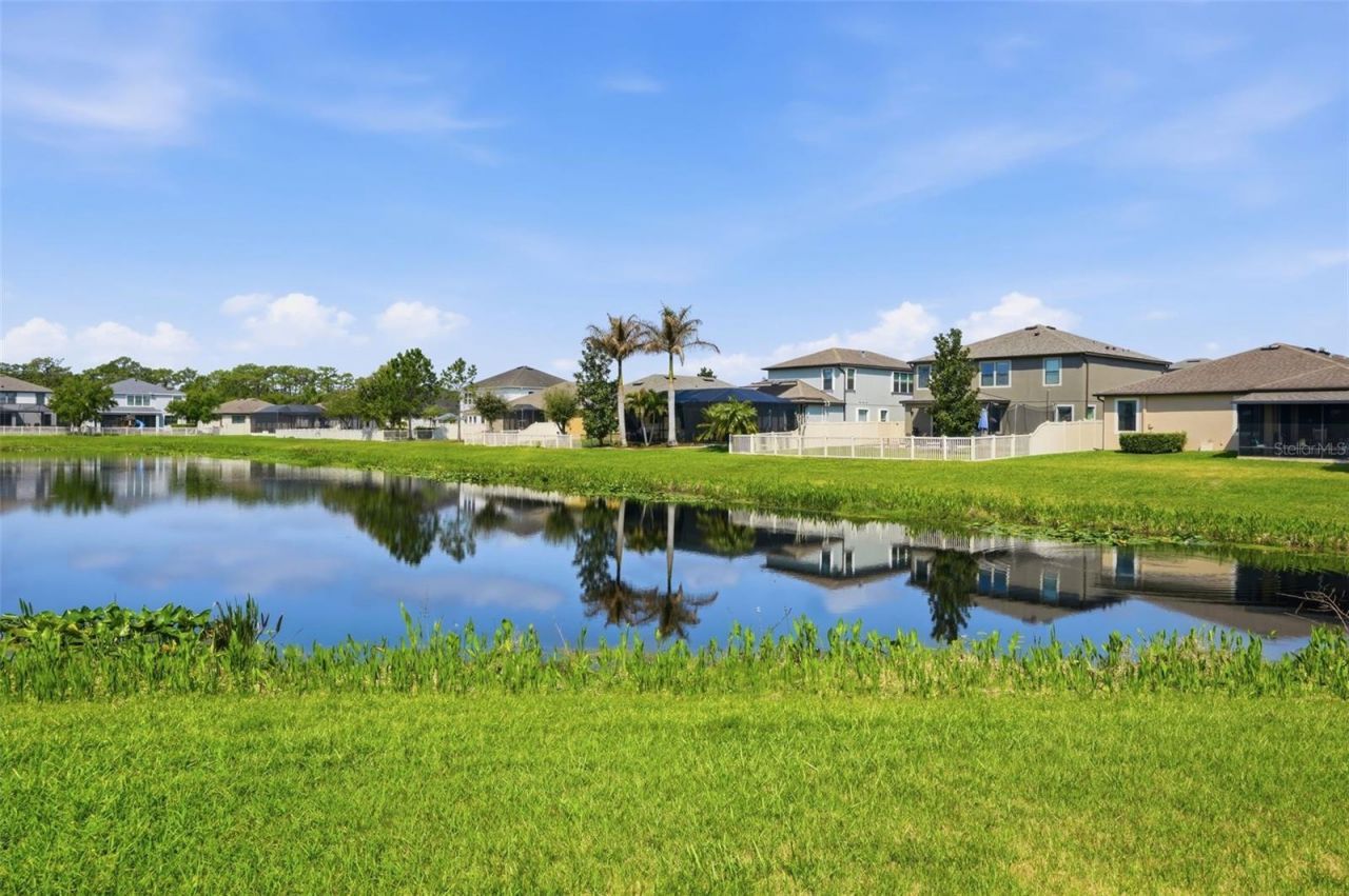 1897 Fox Grape Loop , Lutz, FL 33558 Photo