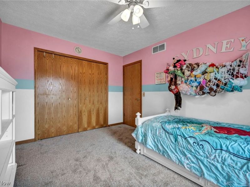 5704 Halwick Drive, Ravenna, OH 44266 Photo 19