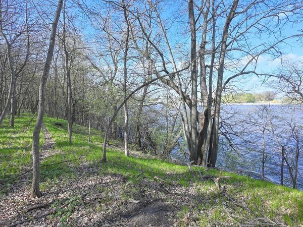 11115 350th Avenue, Farwell, MN 56327