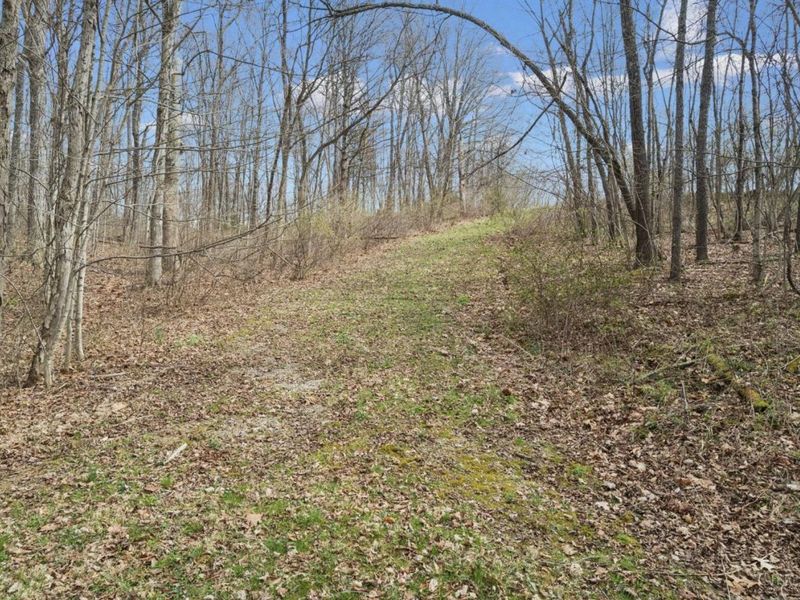 6731 Pondlick Road, Concord Township, OH 45697 Photo 16