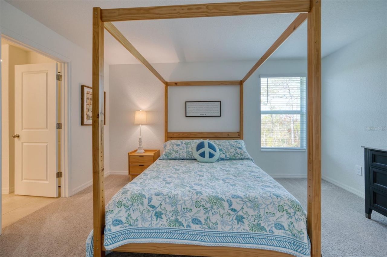 13941 Lilac Sky Terrace, Bradenton, FL 34211 Photo