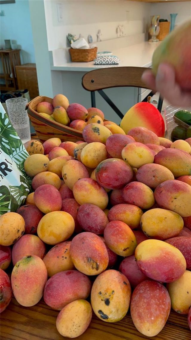 4620 7th Avenue W, Bradenton, FL 34209 Photo