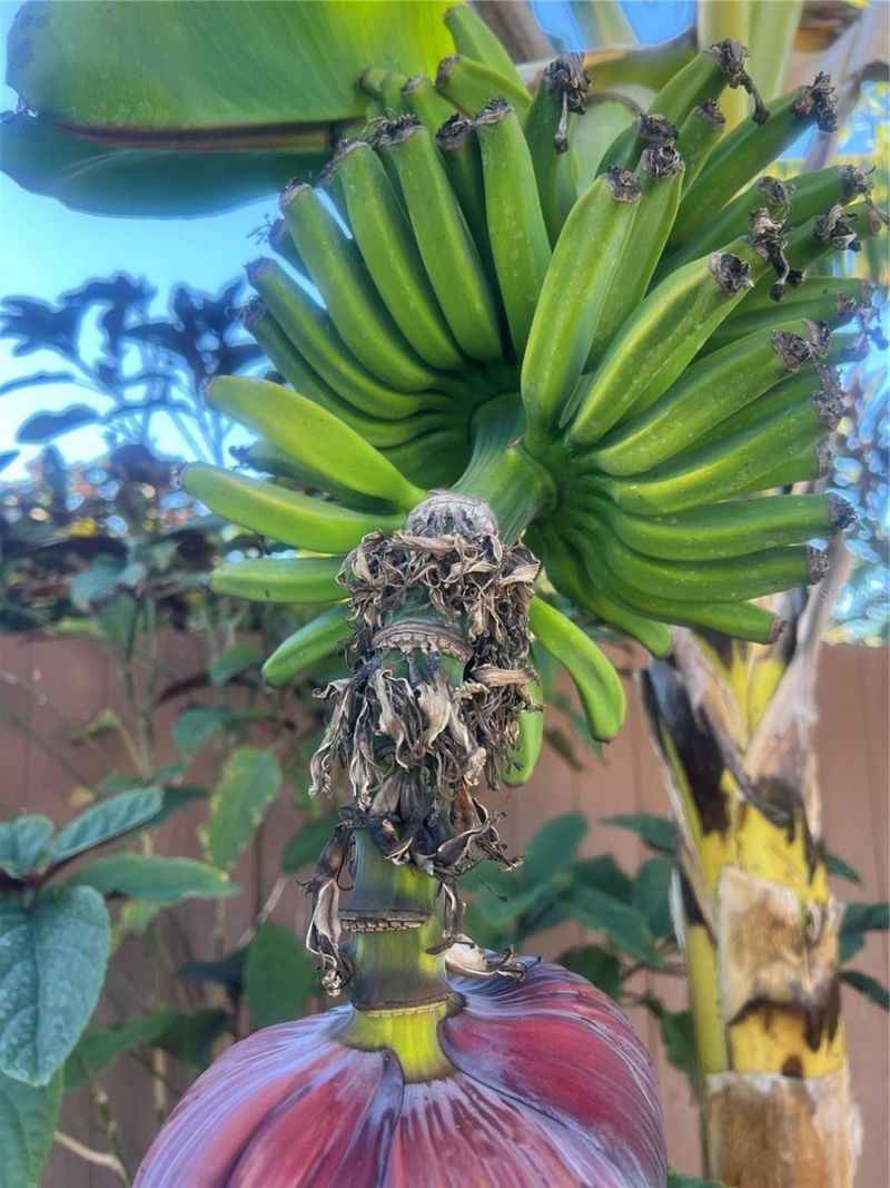 4620 7th Avenue W, Bradenton, FL 34209 Photo