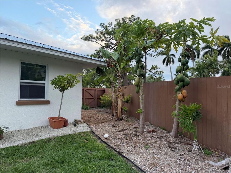 Property Image 41