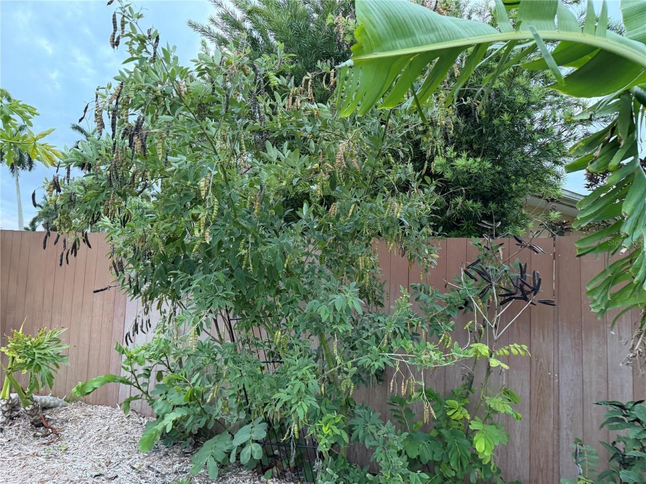 4620 7th Avenue W, Bradenton, FL 34209 Photo