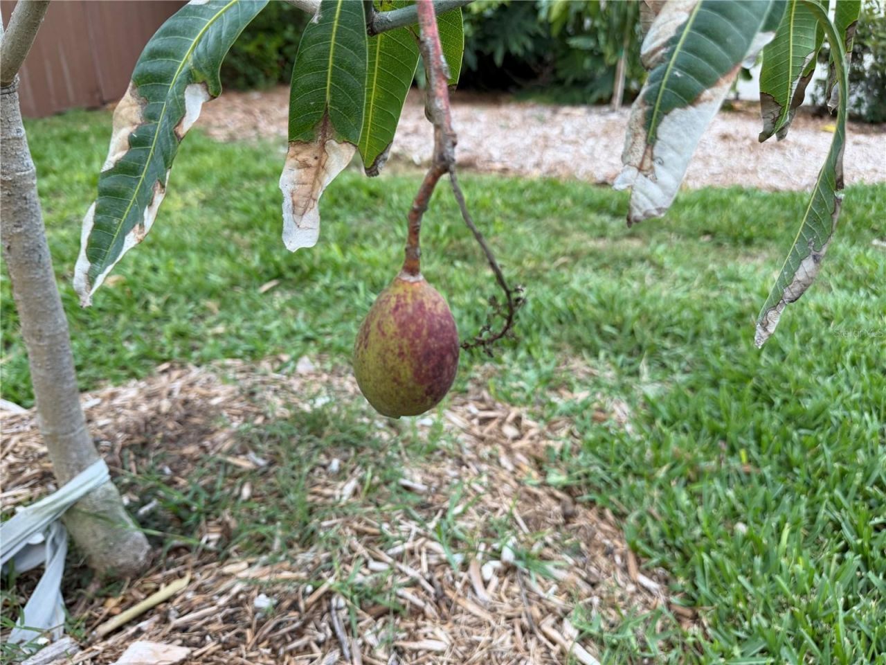 4620 7th Avenue W, Bradenton, FL 34209 Photo