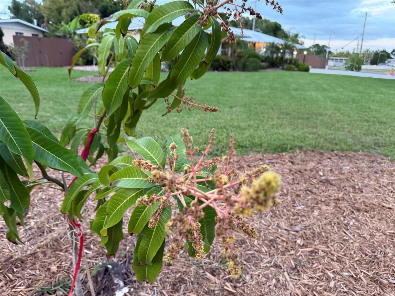 4620 7th Avenue W, Bradenton, FL 34209 Photo