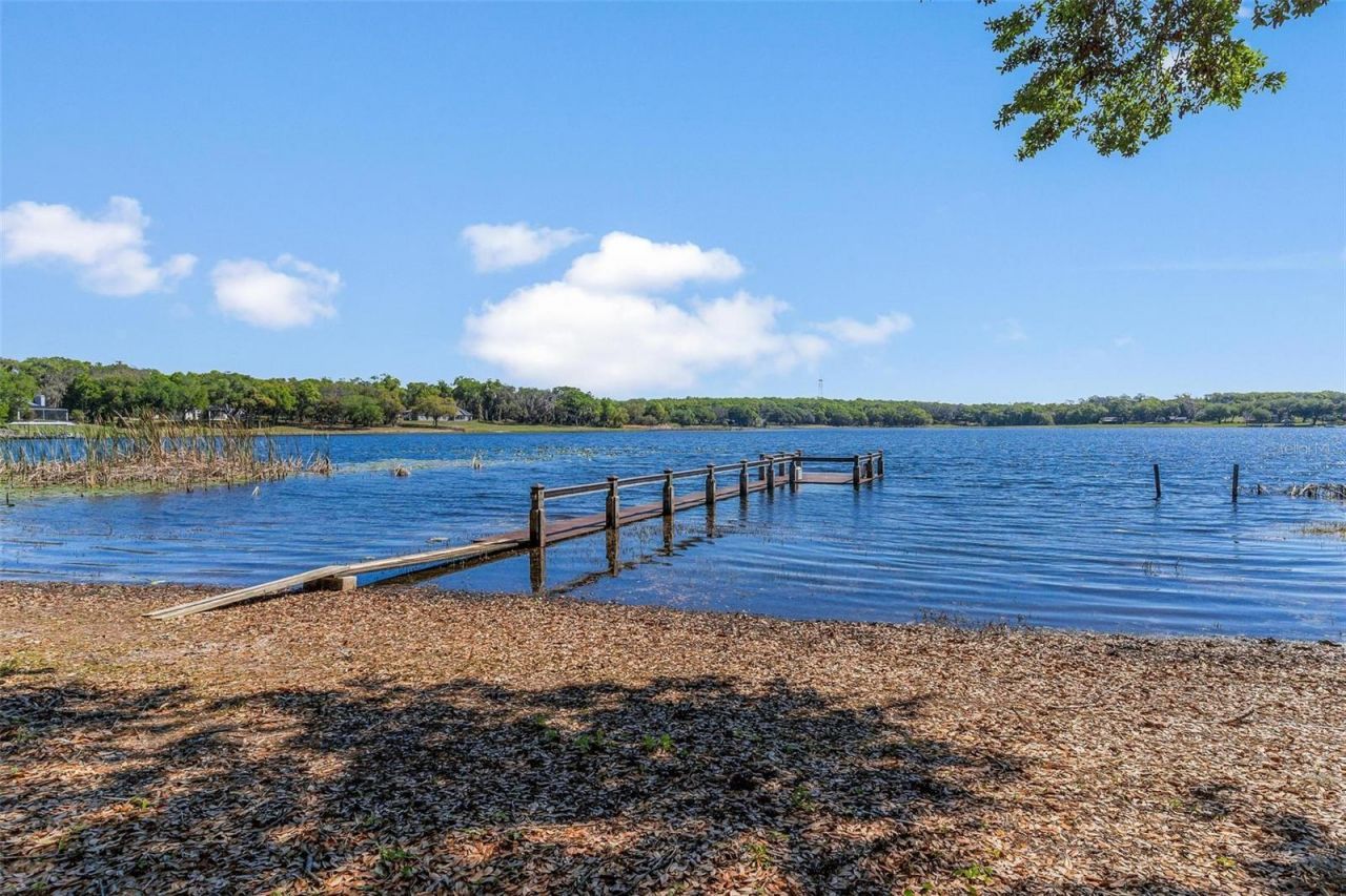 926 Hawk Landing, Fruitland Park, FL 34731 Photo