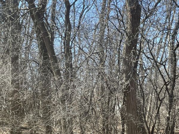 L 26 Stevenson Street, Schenectady, NY 12308