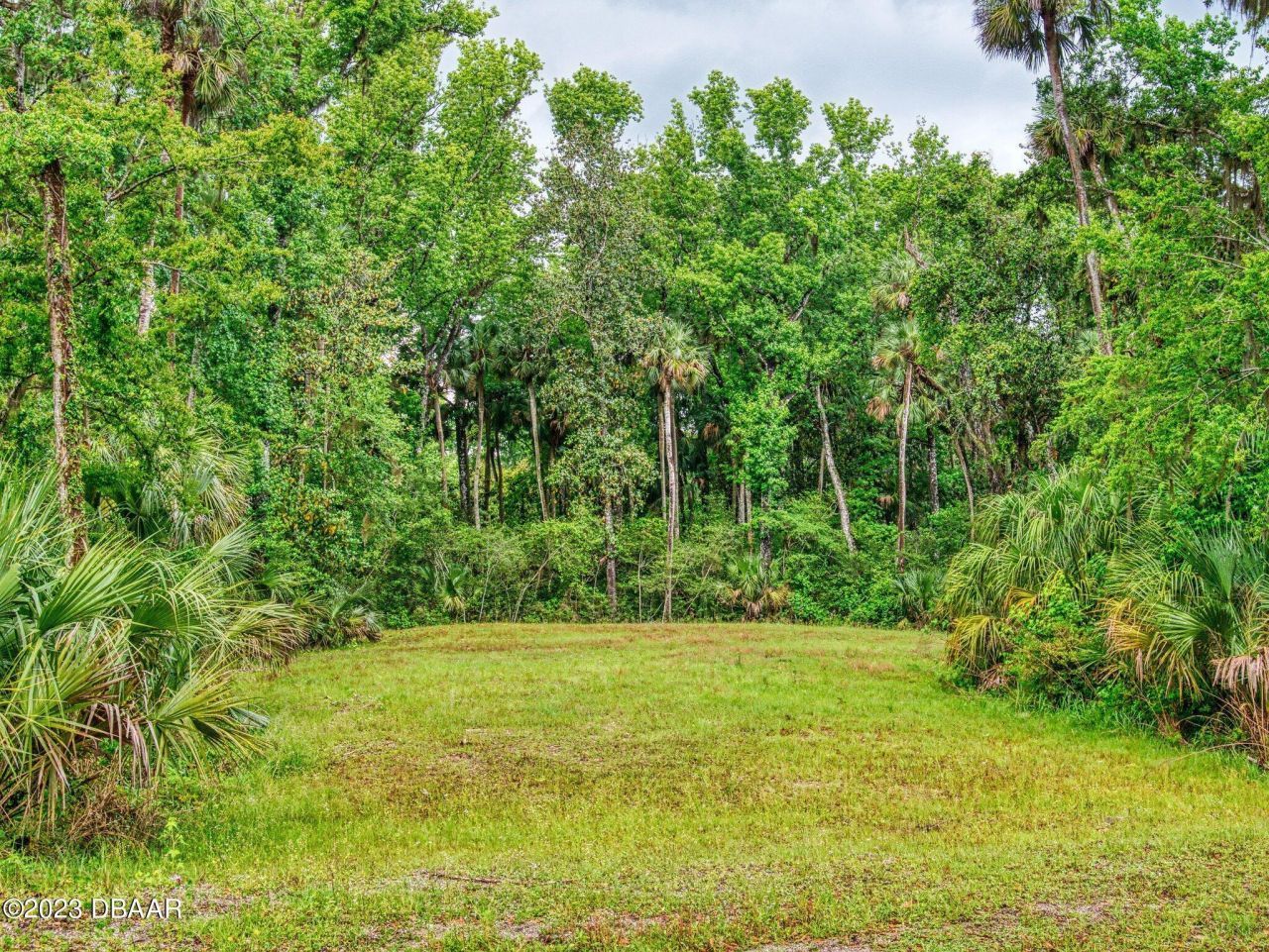 2329 Legacy Lane, New Smyrna Beach, FL 32168 Photo