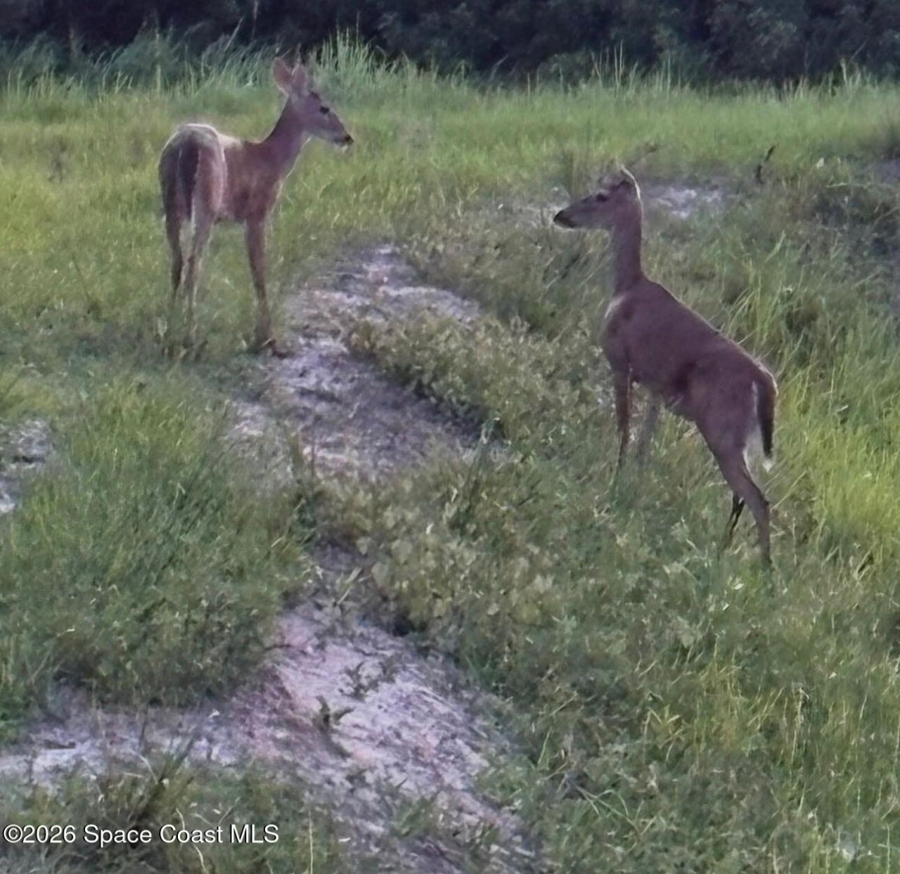 581 Ganley Street Sw, Palm Bay, FL 32908 Photo