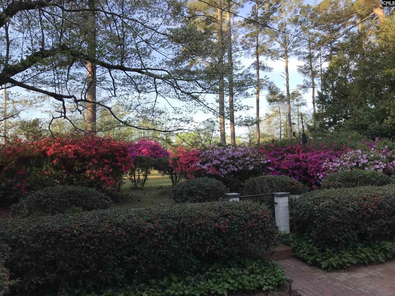 2411 Springdale Drive  Photo 95