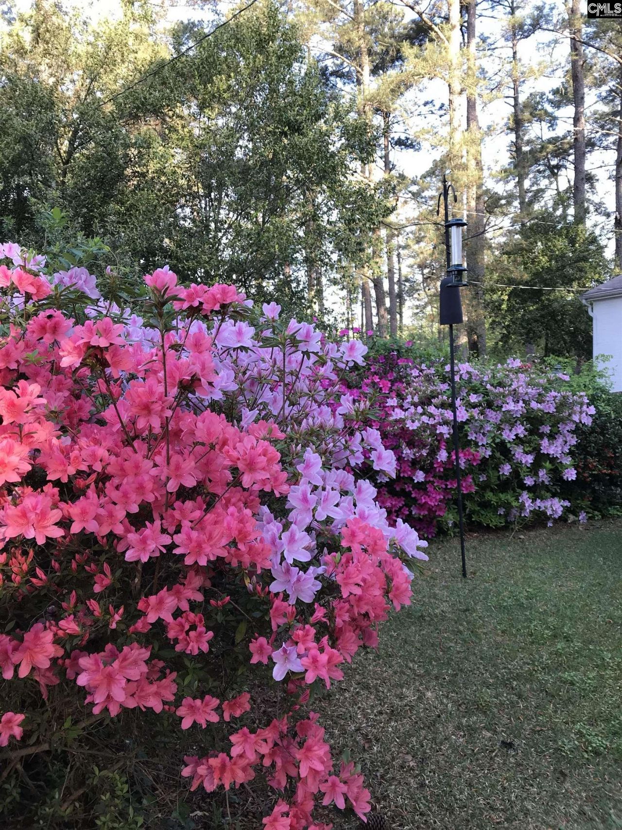 2411 Springdale Drive Photo 97