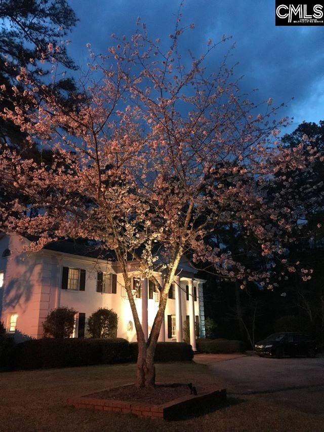 2411 Springdale Drive Photo 99