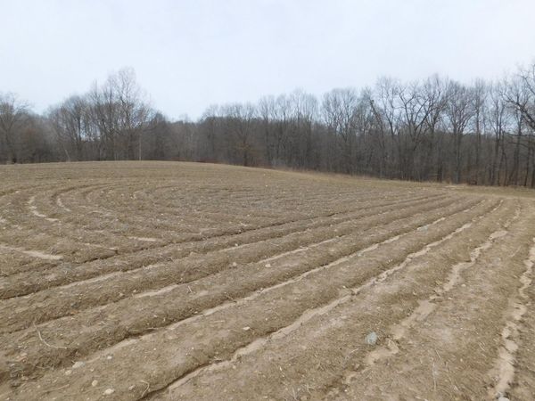 Cox Road, Bellevue, MI 49021