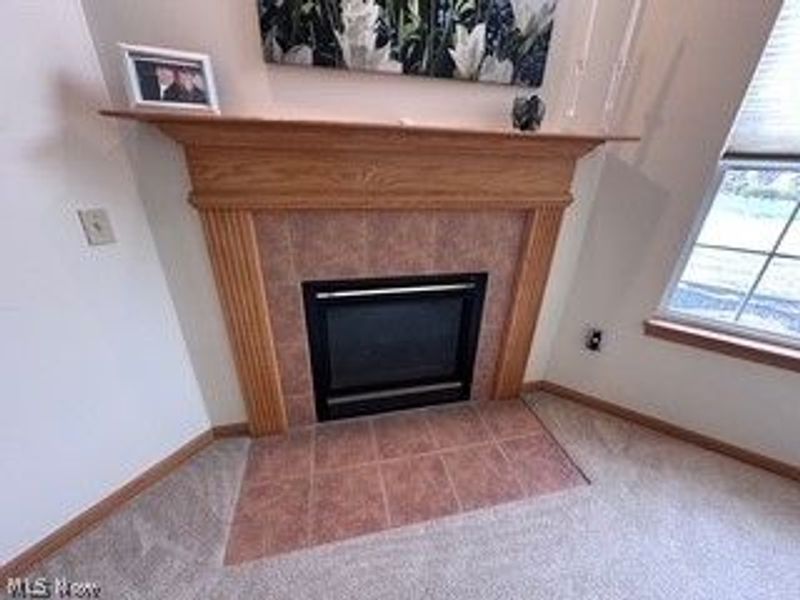 2041 Marsh Lane, Painesville Township, OH 44077 Photo 4