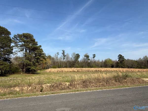 Lot 8 County Road 318, Dawson, AL 35963