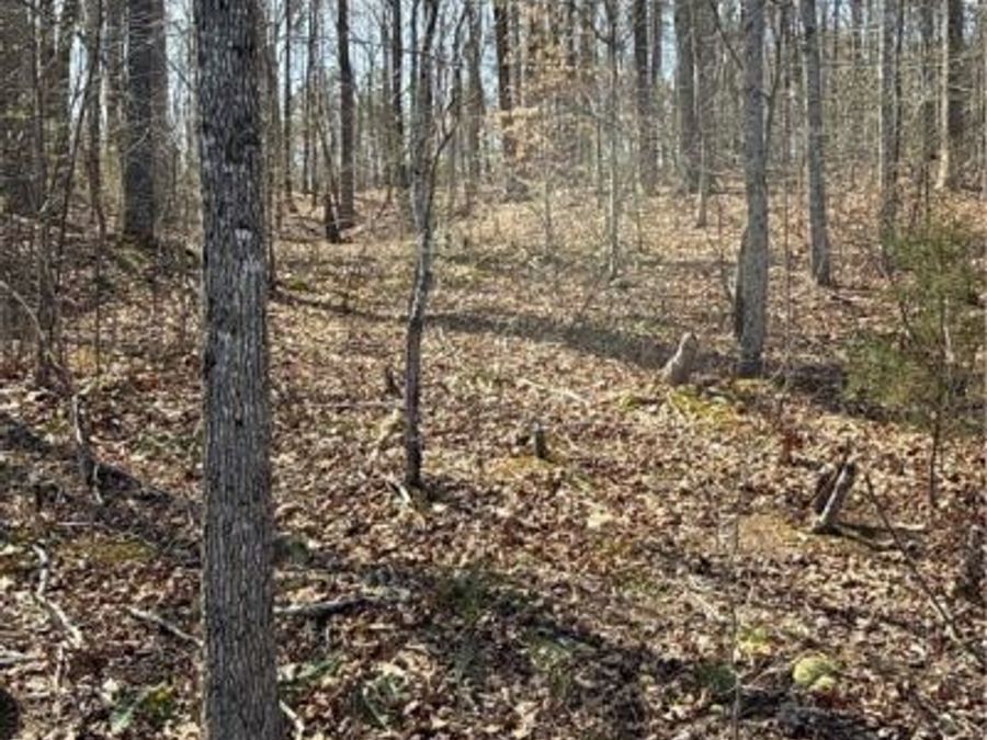 Property Image 43