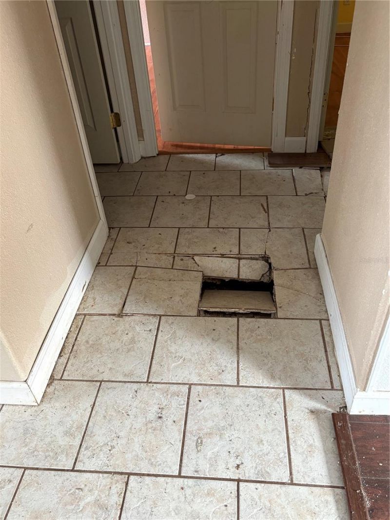 10106 S Alma Street, Gibsonton, FL 33534 Photo