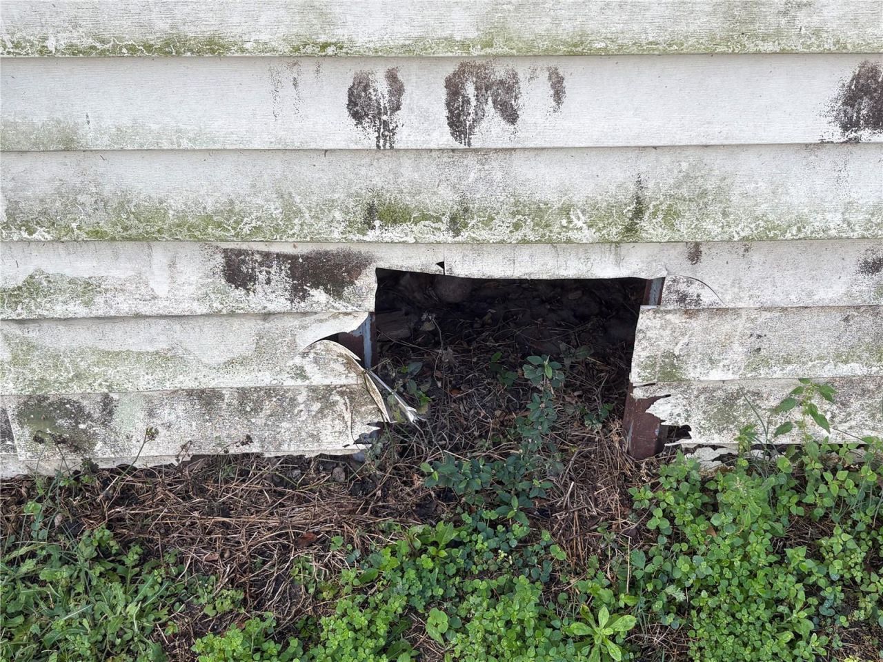 10106 S Alma Street, Gibsonton, FL 33534 Photo