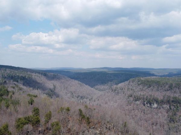 1211 Stooping Oak Road, Dunlap, TN 37327