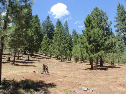 10735 Dogwood, Truckee, CA 96161 Photo