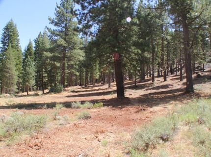 10735 Dogwood, Truckee, CA 96161 Photo