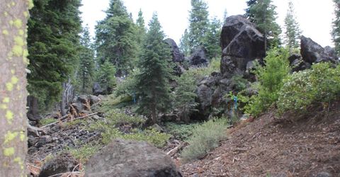 10735 Dogwood, Truckee, CA 96161 Photo