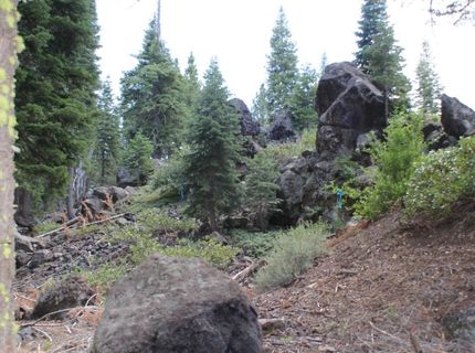 10735 Dogwood, Truckee, CA 96161 Photo