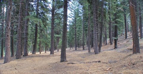 10735 Dogwood, Truckee, CA 96161 Photo