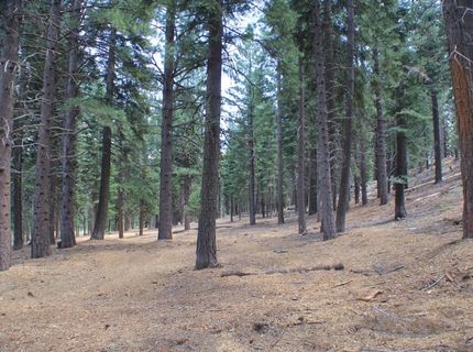 10735 Dogwood, Truckee, CA 96161 Photo