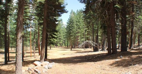 10735 Dogwood, Truckee, CA 96161 Photo