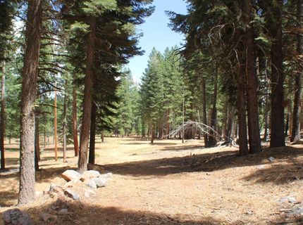 10735 Dogwood, Truckee, CA 96161 Photo