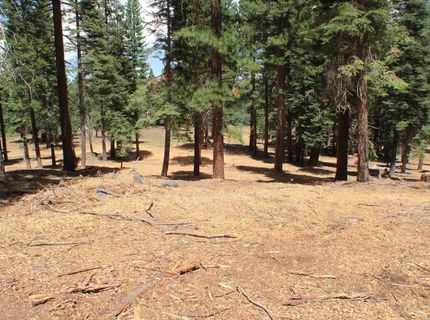 10735 Dogwood, Truckee, CA 96161 Photo