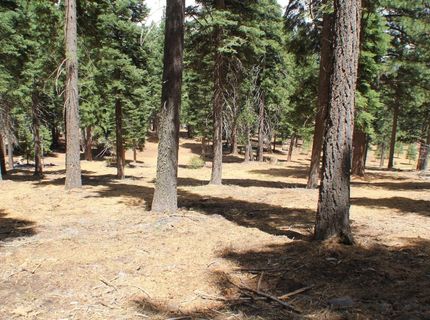 10735 Dogwood, Truckee, CA 96161 Photo