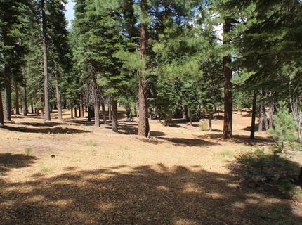 10735 Dogwood, Truckee, CA 96161 Photo