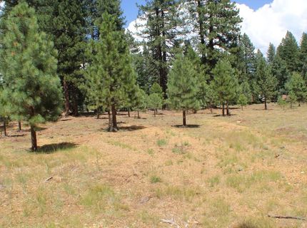 10735 Dogwood, Truckee, CA 96161 Photo