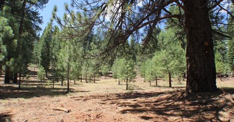 10735 Dogwood, Truckee, CA 96161 Photo